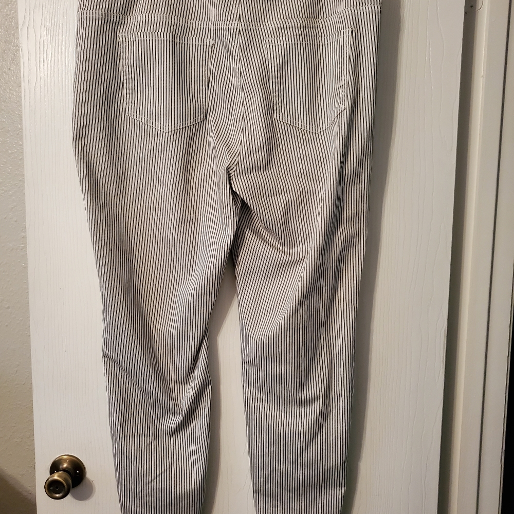 Pull on pin striped pants